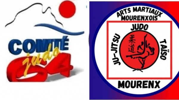 Stage de judo départemental Benjamins /minimes/cadets du lundi 13 avril au mercredi 15 avril 2026 au Dojo de Mourenx